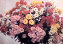 Chrysanthemums