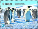 Emperor Penguin (Aptenodytes forsteri)