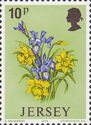 Daffodils and Iris