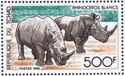 White Rhinoceros (Ceratotherium simum)