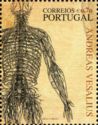 Andreas Vesalius - 500 Years - Nervous System