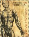 Andreas Vesalius - 500 Years - Muscular System