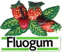 Fluogum