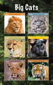 Big Cats