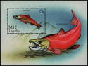 Sockeye Salmon (Oncorhynchus sp.)