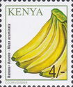 Banana (Musa acuminata)