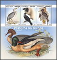 European Birds