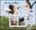 Birds of Niger