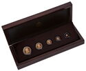 Various Krugerrand (Set Fractional 5 coins 2025)
