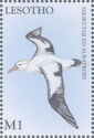 Steller's Albatross (Phoebastria albatrus)