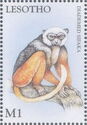 Diademed Sifaka (Propithecus diadema)