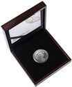 5 Rand (Big Five - Buffalo Silver 1 kg.)