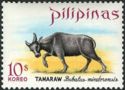 Tamaraw (Bubalus mindorensis)