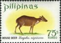 Philippine Mouse Deer (Tragulus nigricans)