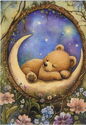 Teddy Bear Sleeping on the Moon