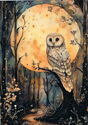 Owl in the Moonlight