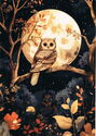Owl in the Moonlight