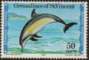 Spinner Dolphin (Stenella longirostris)