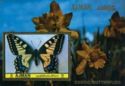 Old World Swallowtail (Papilio machaon)