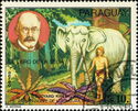 The Jungle Book by Rudyard Kipling