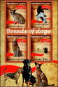 Breeds of dogs