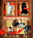 Breeds of dogs