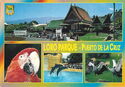 TENERIFE. Puerto de la Cruz. Parrot Park. Different aspects.