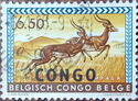 Impala (Aepyceros melampus) overprinted BLACK CONGO