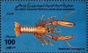 Nephrops norvegicus