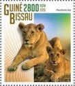 Lions (Panthera leo)