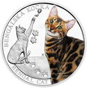 1 Dollar (Cat Breeds - Bengal cat)