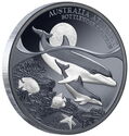 1 Dollar (Australia at Night - Bottlenose dolphin)