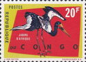 Saddle-billed Stork (Ephippiorhynchus senegalensis)