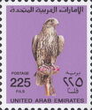 Saker Falcon (Falco cherrug)