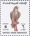 Saker Falcon (Falco cherrug)