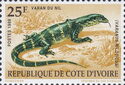 Nile Monitor (Varanus niloticus)