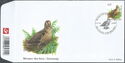 Eurasian Woodcock (Scolopax rusticola)
