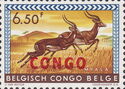 Impala (Aepyceros melampus) overprinted RED CONGO