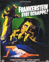 Frankenstein S'est Echappé!