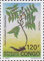 Cassia occidentalis