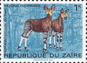 Okapi (Okapia johnstoni)
