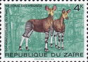 Okapi (Okapia johnstoni)