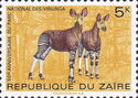 Okapi (Okapia johnstoni)