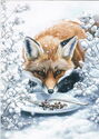 Fox and Snow