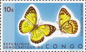Yellow Splendour (Colotis protomedia)
