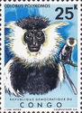 King Colobus (Colobus polykomos)