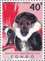 L'Hoest's Monkey (Cercopithecus l’hoesti)