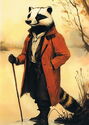 Mr. Racoon