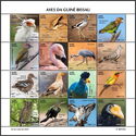 Birds of Guinea Bissau