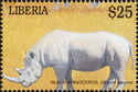 Black Rhinoceros (Diceros bicornis)